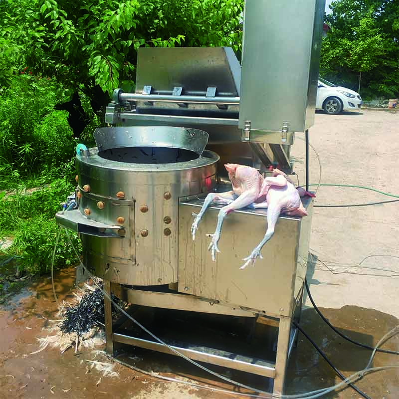 家禽燙脫一體機(jī)